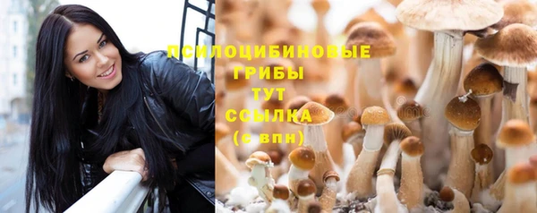 2c-b Волоколамск