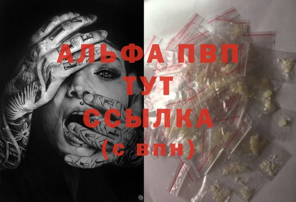 спиды Семилуки