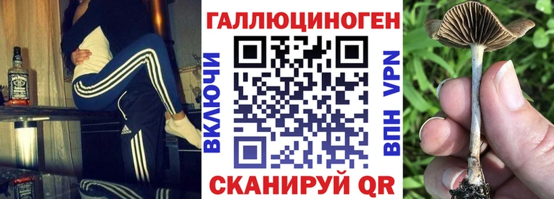 купить закладку гидра рабочий сайт Галлюциногенные грибы прущие грибы Плёс